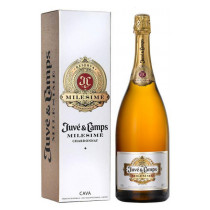 Juve & Camps Millesime Chardonnay Brut GB
